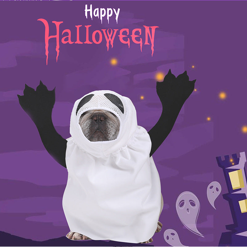 Pet in the ghost costume on a Halloween background
