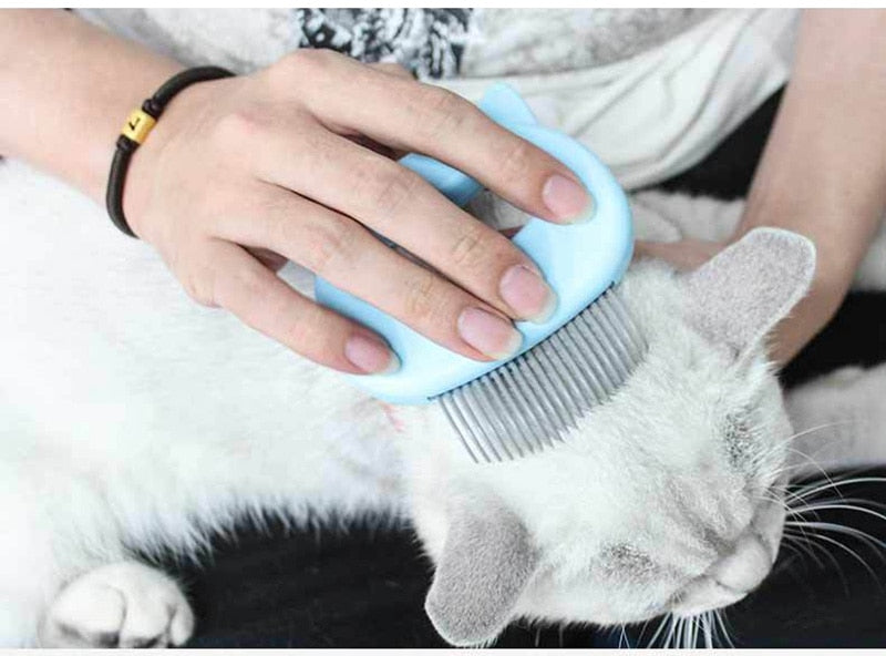 Grooming a white cat with the shell massage comb held in the palm