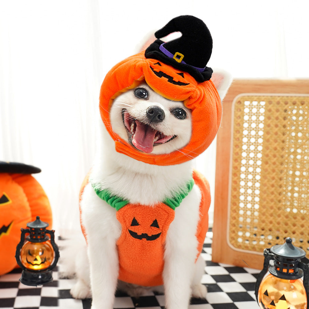 Front view of the pumpkin costume