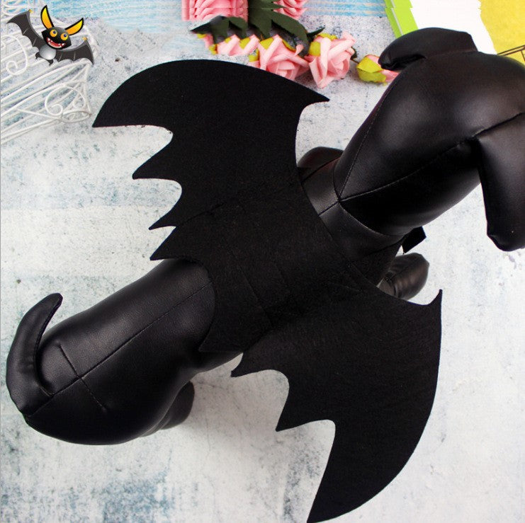 Bat wings shown on a dog, top view