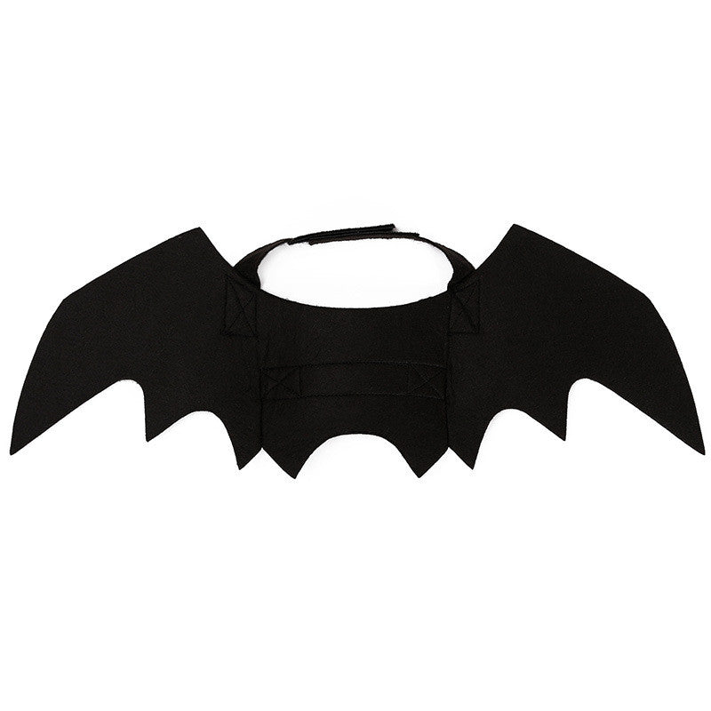 Bat wings laid flat