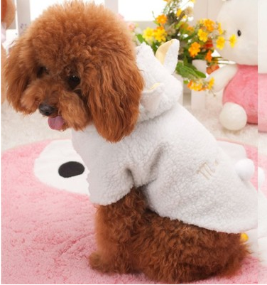Small dog in the fluffy white sheep hoodie