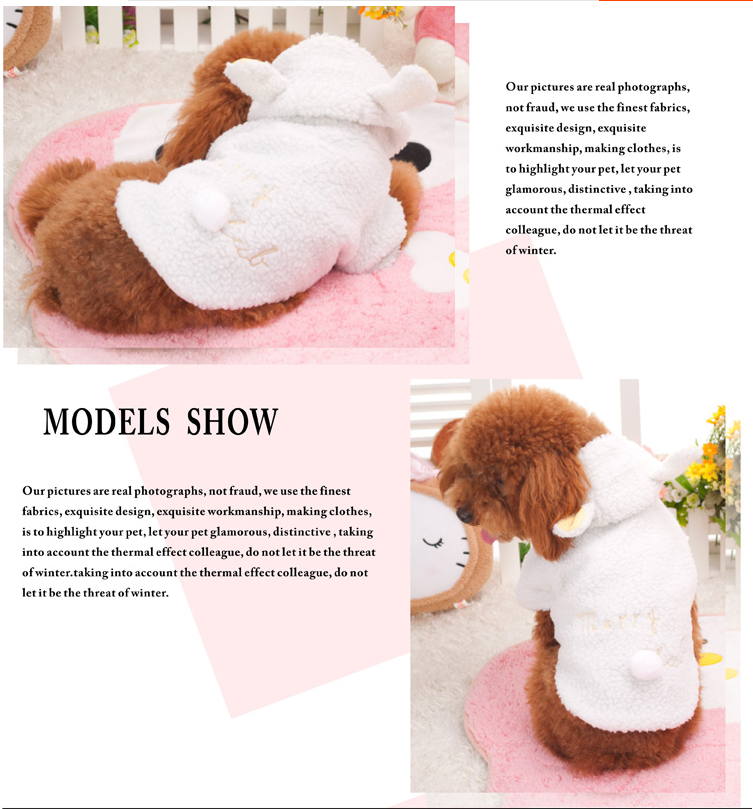 Sheep costume on a small dog