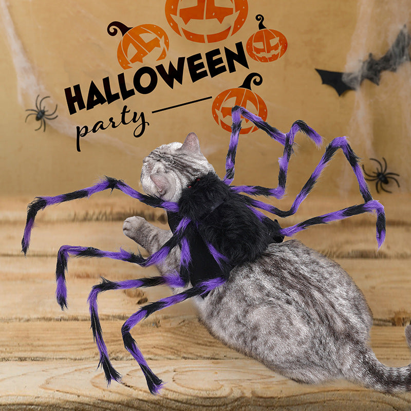 Cat wearing the black and purple spider costume
