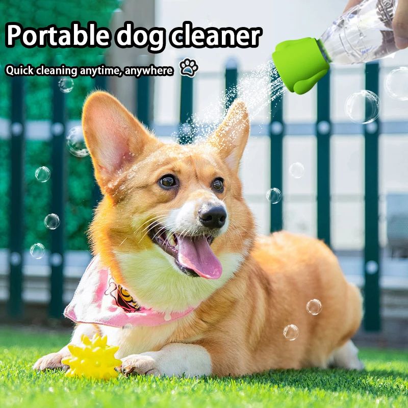 Portable dog shower sprayer on a water bottle rinsing a corgi