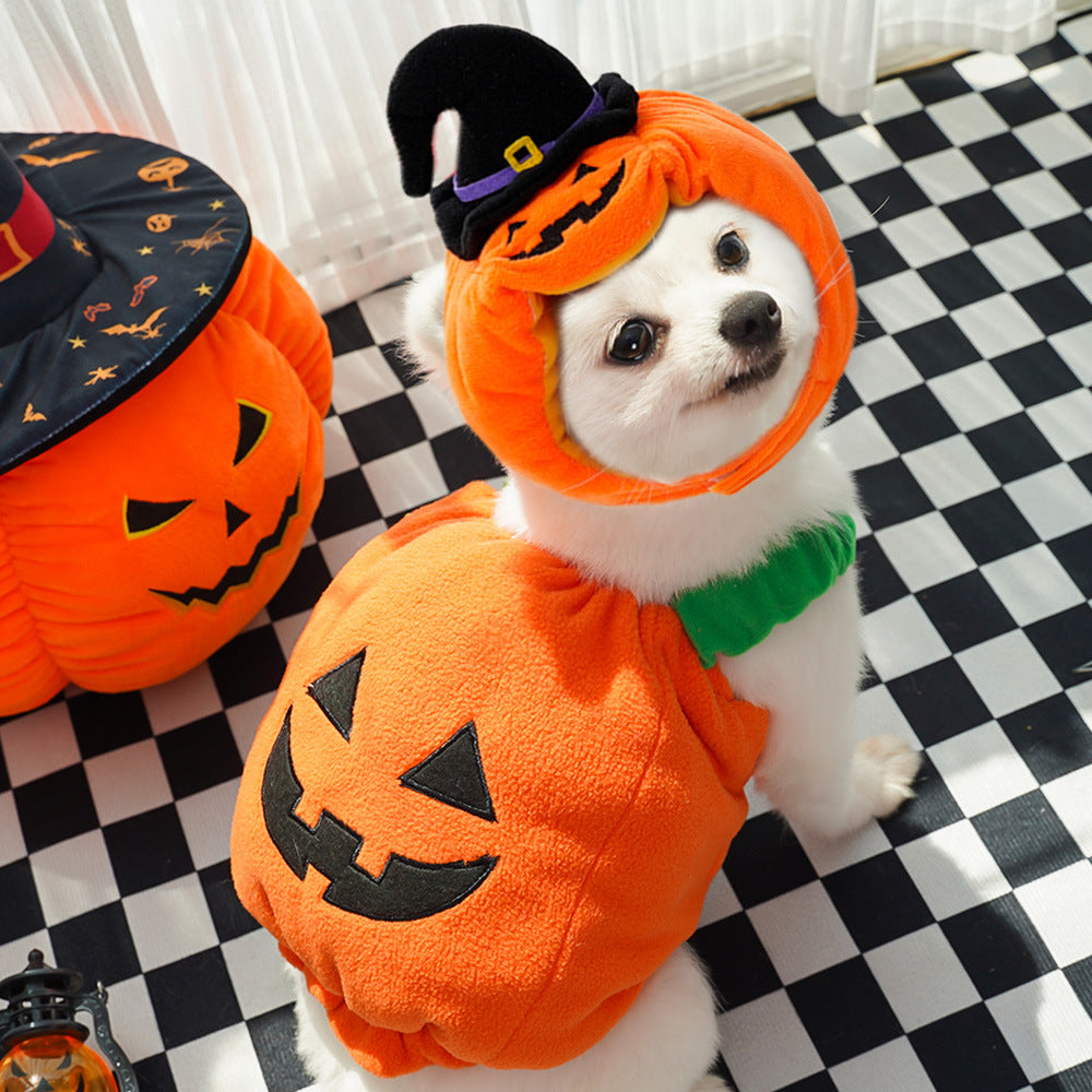 Dog wearing the pumpkin costume on a checked floor