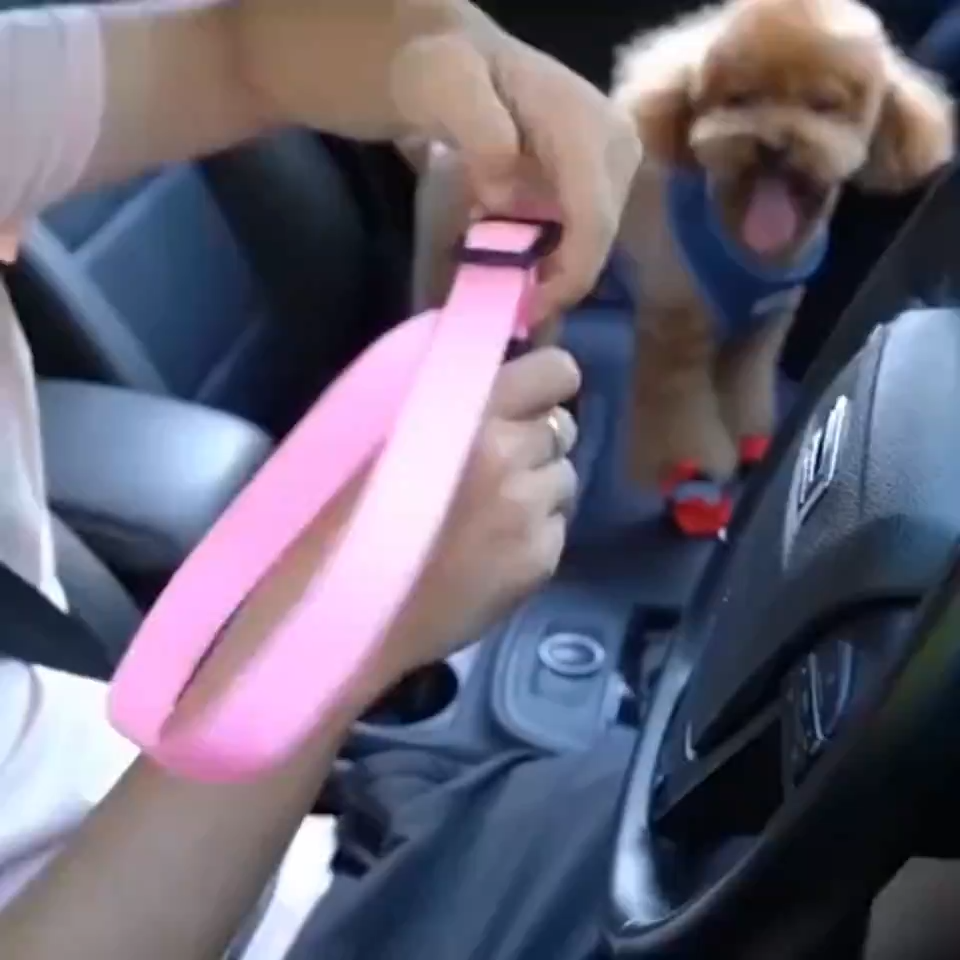 Pet Car Seat Belt Lead