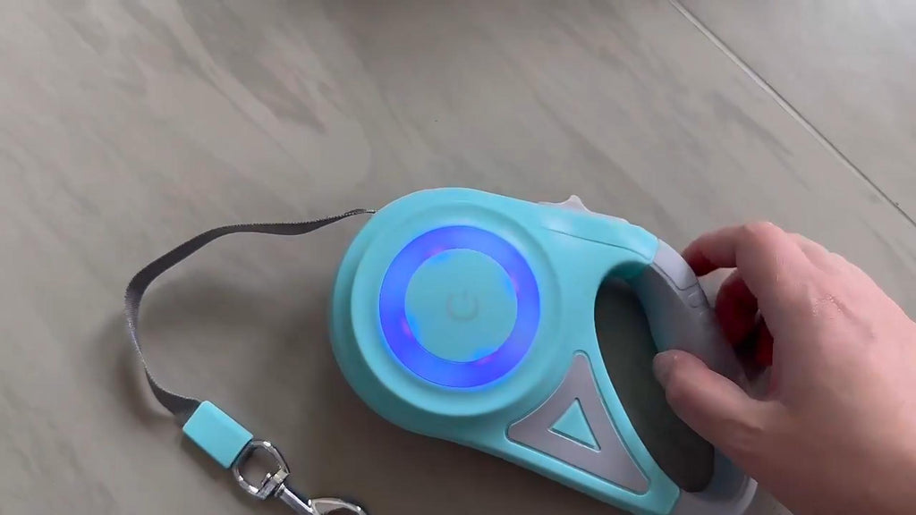 Retractable Dog Leash with Light & Collar