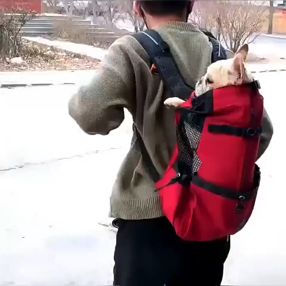 Portable Double-Shoulder Pet Carrier Backpack